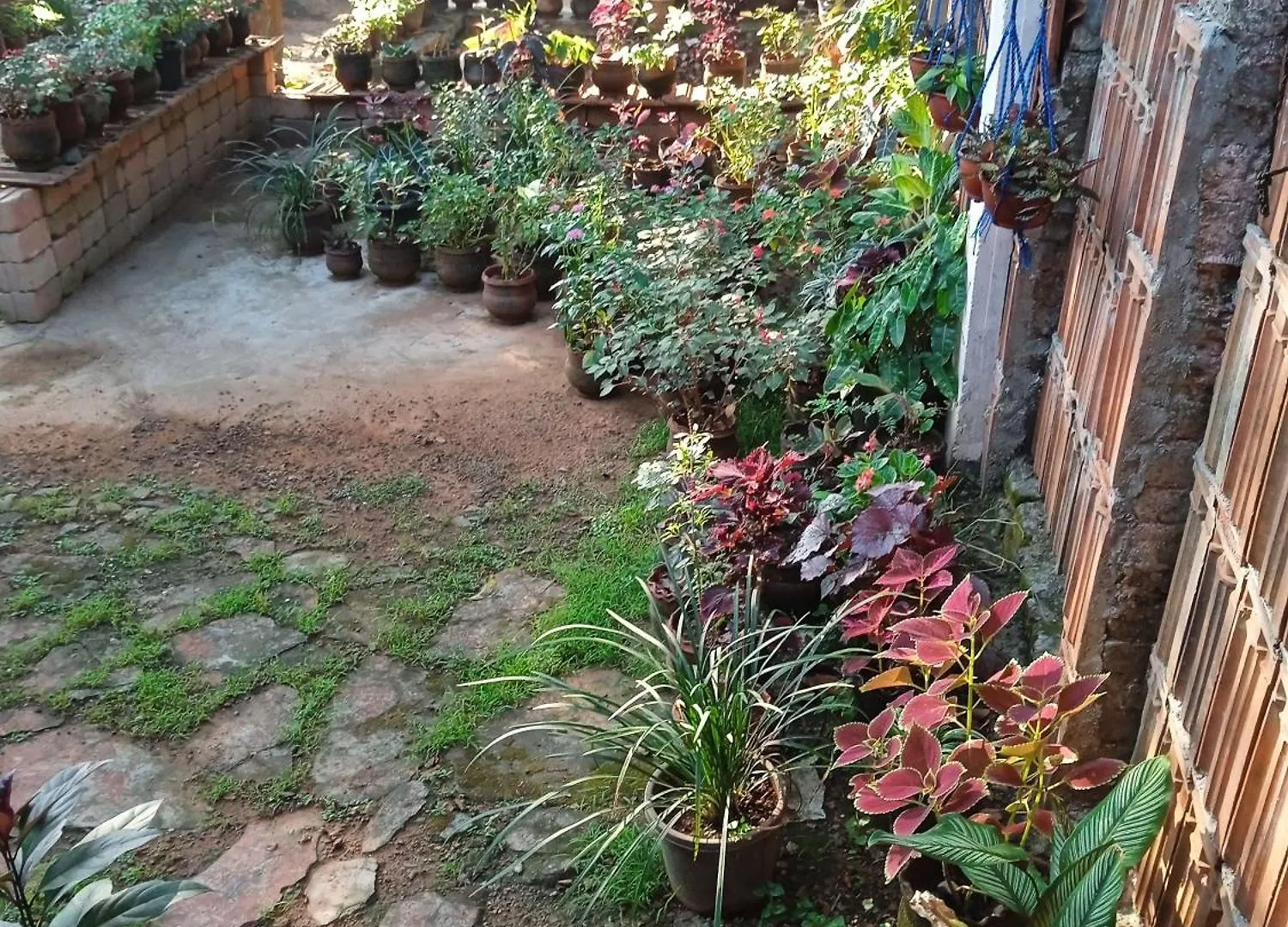 Doctors Plaza Home Stay & Spa Wellness Center Kovalam 0*,  India